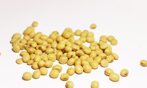 核桃仁花生豆浆功效-豆浆核桃花生的营养价值及功效与作用网 | 核桃花生豆浆的做法一人份,核桃仁花生豆浆功效