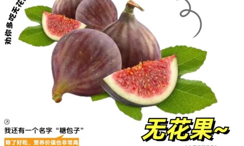 核桃仁花生豆浆功效-豆浆核桃花生的营养价值及功效与作用网 | 核桃花生豆浆的做法一人份,核桃仁花生豆浆功效