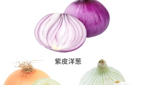 豆浆核桃花生的营养价值及功效与作用及禁忌-豆浆核桃花生的营养价值及功效与作用网 | 核桃花生豆浆的做法一人份,核桃仁花生豆浆功效