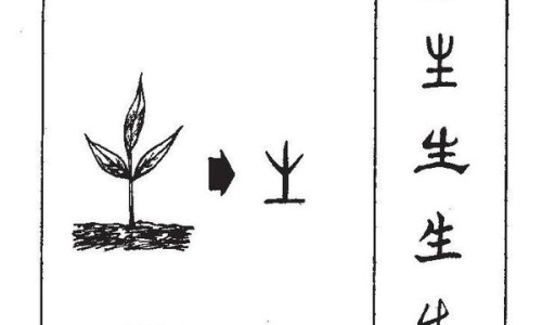 豆浆核桃花生的营养价值及功效与作用及禁忌-豆浆核桃花生的营养价值及功效与作用网 | 核桃花生豆浆的做法一人份,核桃仁花生豆浆功效